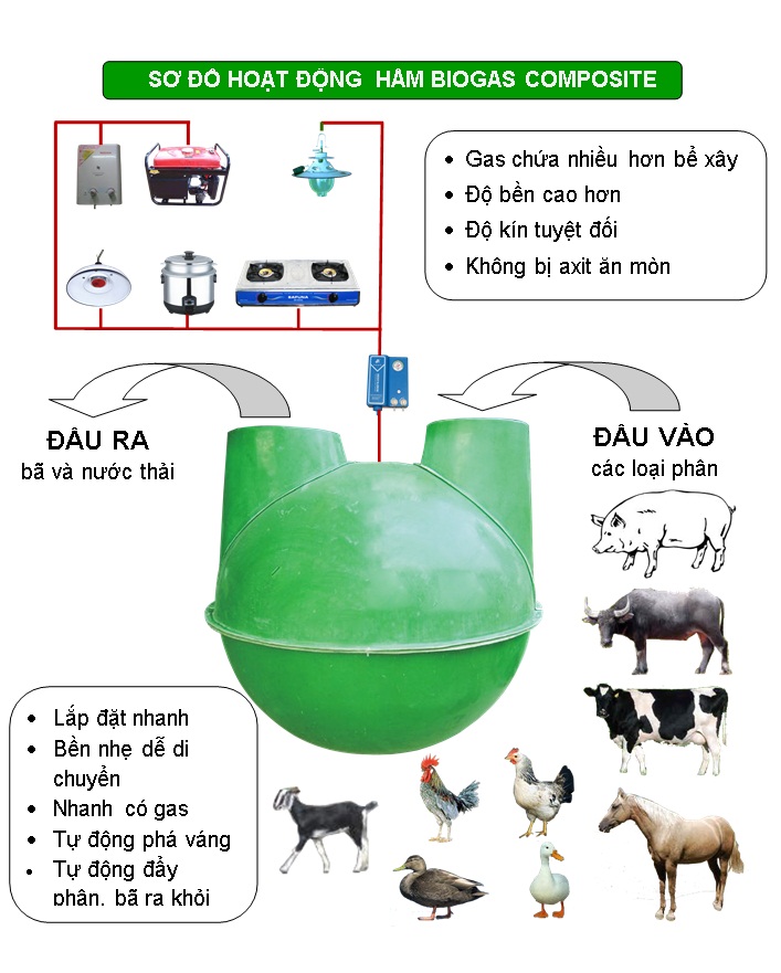 mo-hinh-ham-biogas